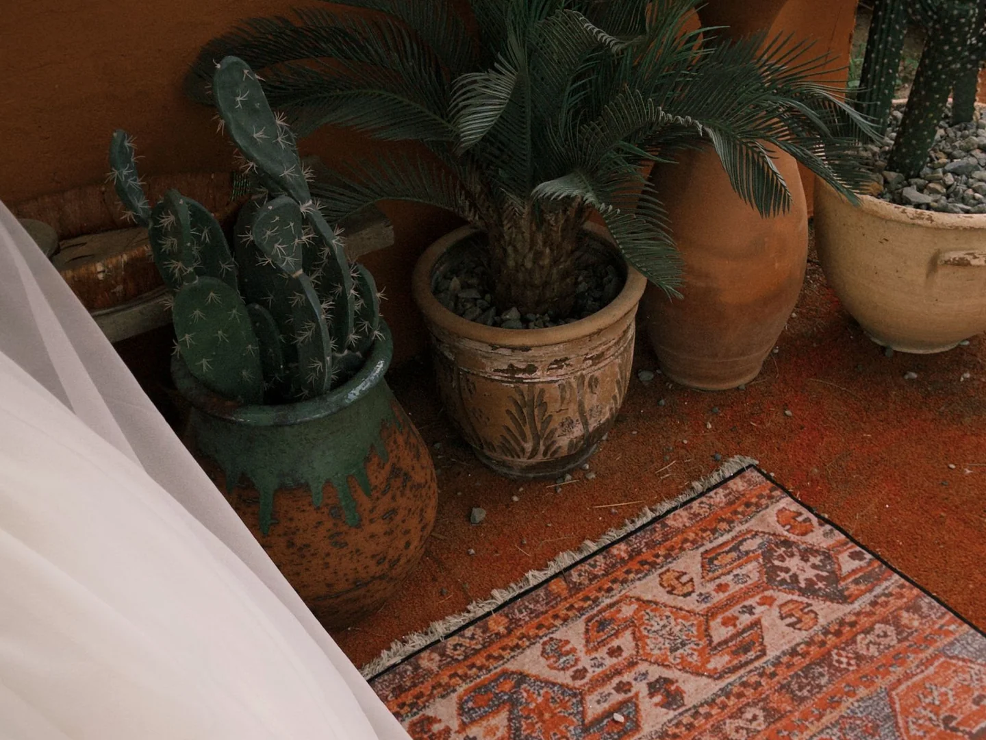 A patterned rug laid over an existing floor beside potted plants.