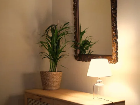 A lit table lamp next to a wall mirror.